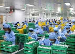 企业如何使用劳务派遣？